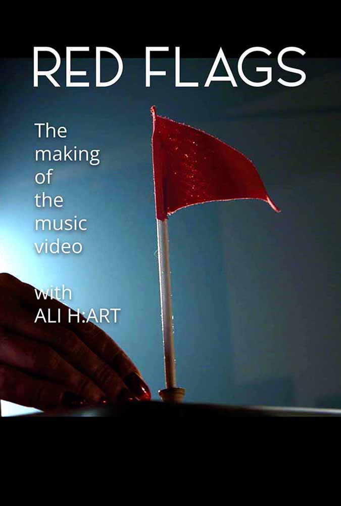 Red Flags: The Making of the Music Video film poster
